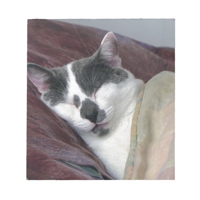 Bloco De Notas Guarda de Gatos (Frente)