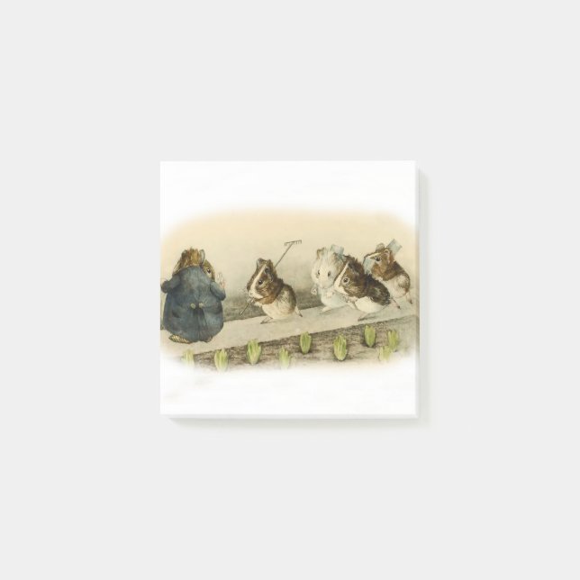 Bloco De Notas "Guiné Pig Garden" por Beatrix Potter (Frente)
