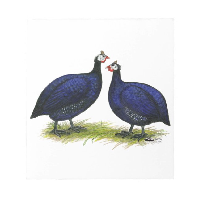 Bloco De Notas Guineas Royal Purple Pair (Frente)