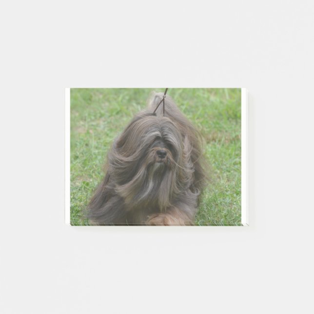 Bloco De Notas Havanese bonito (Frente)