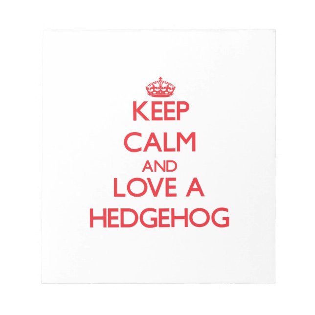 Bloco De Notas Hedgehog (Frente)