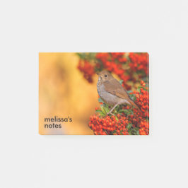 Bloco De Notas Hermit Thrush Songbird no espinho-de-espinho
