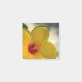 Bloco De Notas Hibiscus Amarelo
