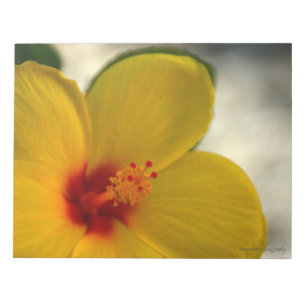 Bloco De Notas Hibiscus Amarelo