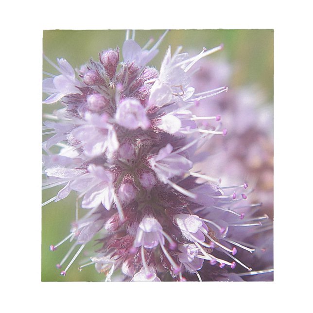 Bloco De Notas Hübsche lila Wildblüten (Frente)