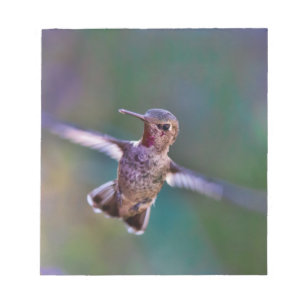Bloco De Notas Hummingbird