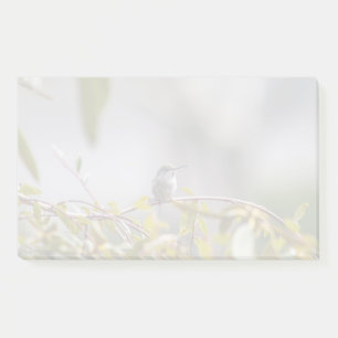Bloco De Notas Hummingbird 3346