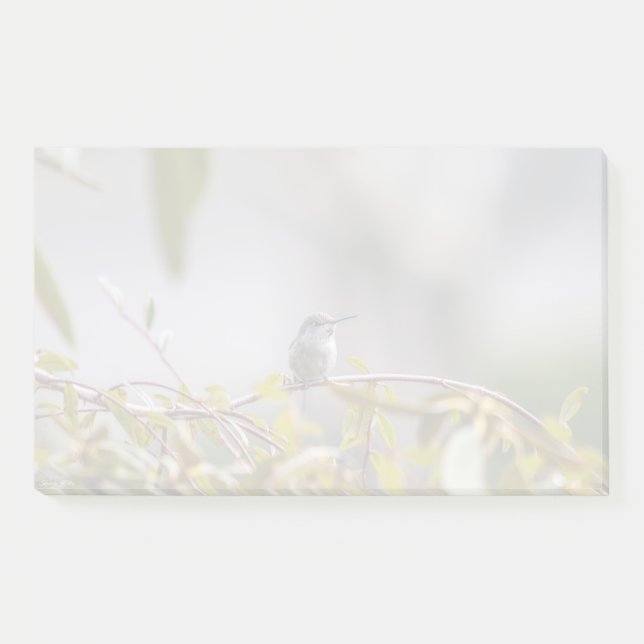 Bloco De Notas Hummingbird 3346 (Frente)
