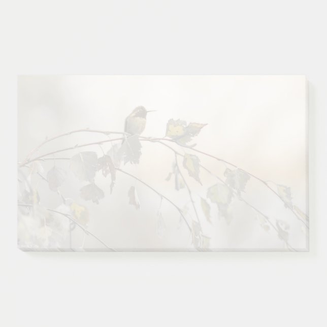 Bloco De Notas Hummingbird 5265 (Frente)