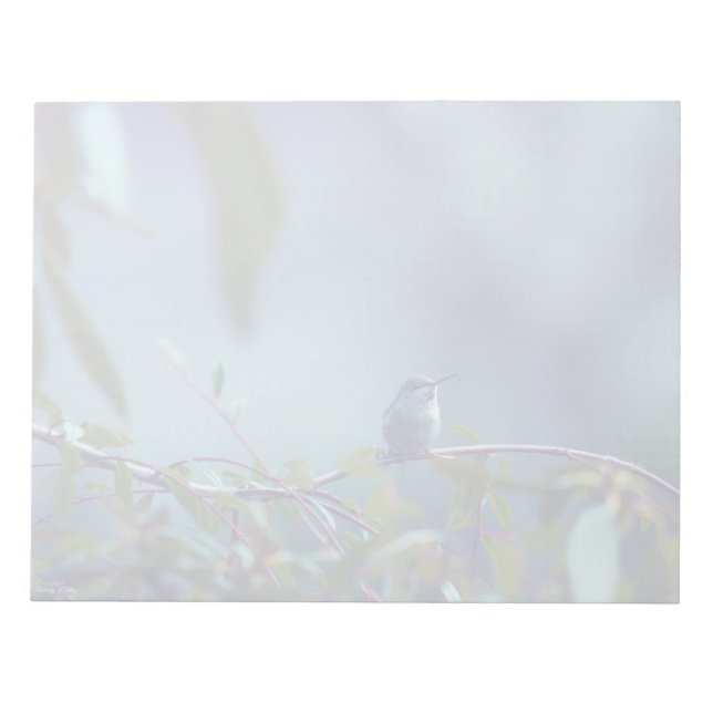 Bloco De Notas Hummingbird 5738 (Frente)