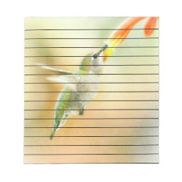 Bloco De Notas Hummingbird na luz da manhã cedo