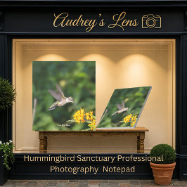 Bloco De Notas Hummingbird Sanctuary Professional Photography 