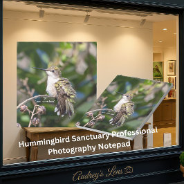 Bloco De Notas Hummingbird Sanctuary Professional Photography 