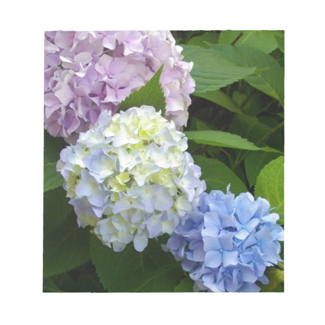 Bloco De Notas Hydrangeas (Frente)