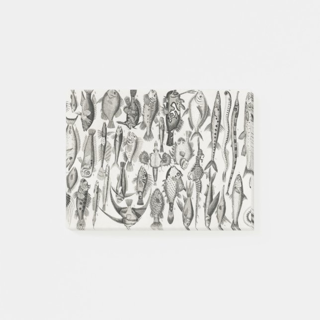 Bloco De Notas Ichtiologictiologia, peixes, oceanos, ictiólogo (Frente)