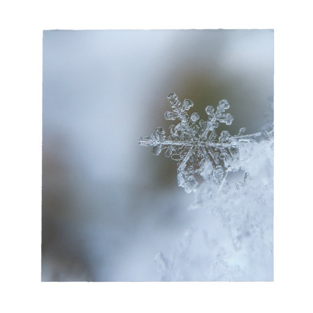 Bloco De Notas Icy Snowflake (Frente)