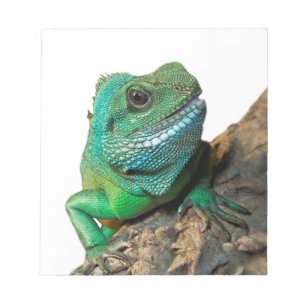 Bloco De Notas Iguana verde