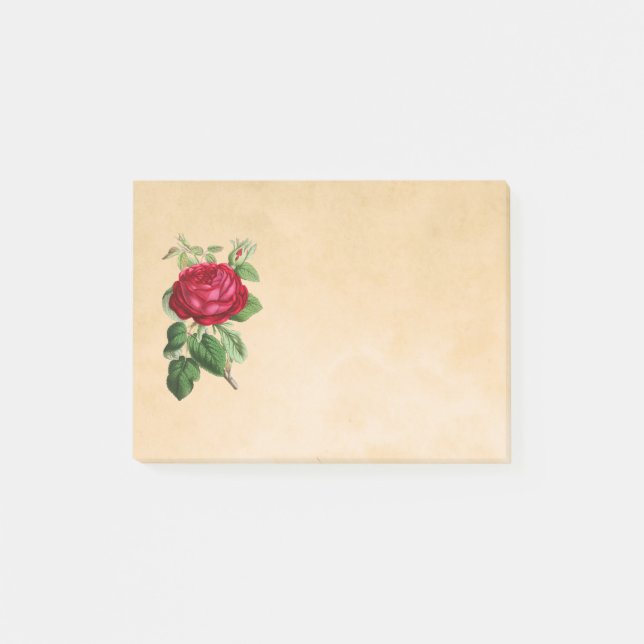 Bloco De Notas Ilustração de rosa vermelha em um plano de fundo d (Frente)