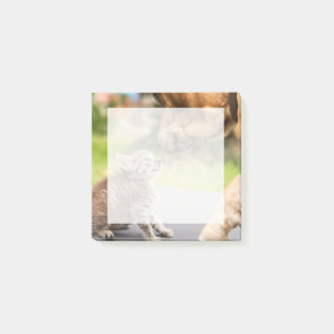 Bloco De Notas Imagens de Getty Cães e Gatos Apaixonados