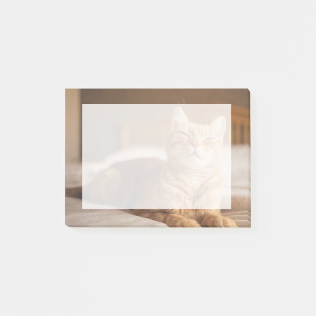 Bloco De Notas Imagens de Getty| Gato Sonolento (Frente)