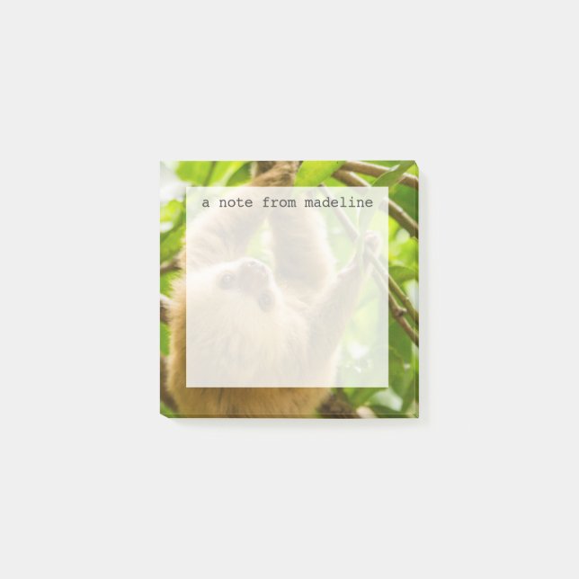 Bloco De Notas Imagens de Getty| Largura para Baixo (Frente)