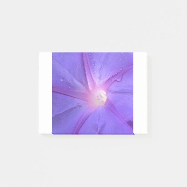 Bloco De Notas ipomée (Frente)