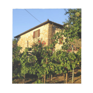 Bloco De Notas Itália, Toscana, Greve. Vinhos de verão tardios