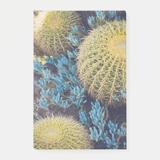 Bloco De Notas Jardim Boho Cactus (Frente)