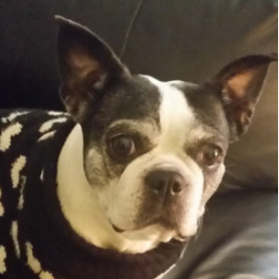 Bloco De Notas Jesus Me Siga No Bloco De Notas, Natal, Presentes,