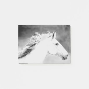 Bloco De Notas Juba de LIN26BW no Wind.tif