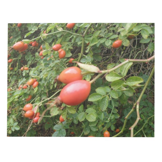 Bloco De Notas Juicy Red Rose Hips Notepad (Frente)
