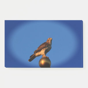 Bloco De Notas Kansas Hawk em uma bandeira Posta suas notas