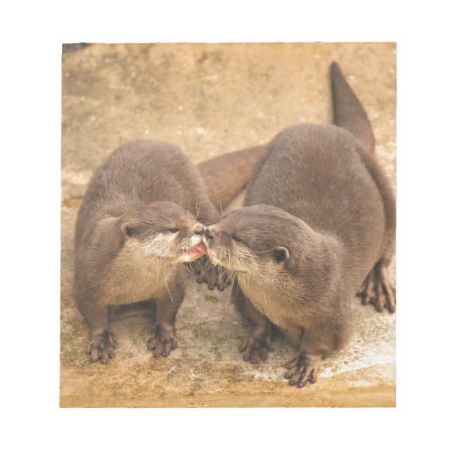 Bloco De Notas Kissing Otters (Frente)