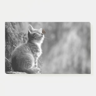 Bloco De Notas Kitten Com Amigo De Borboleta