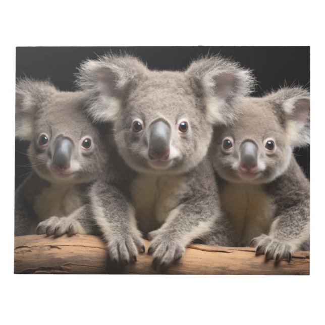Bloco De Notas Koala Wild Animal Retrait Nature Beauty (Frente)