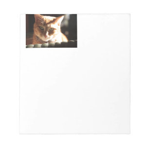 Bloco De Notas Kute Gatinho!