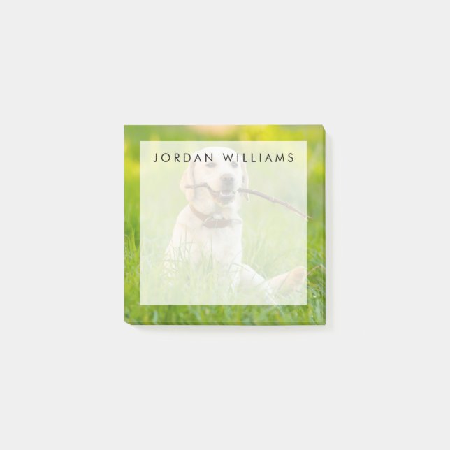 Bloco De Notas Labrador Amarelo Reproduz Feixe (Frente)