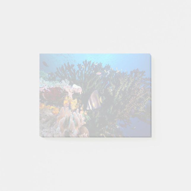 Bloco De Notas Laja Ampat 4 subaquáticos (Frente)