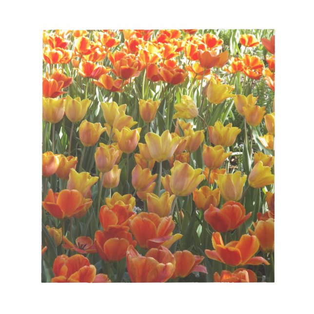 Bloco De Notas Laranja-&-Amarelo-Tulips.jpg (Frente)