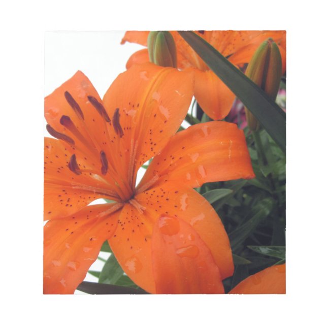 Bloco De Notas Laranja LIly (Frente)