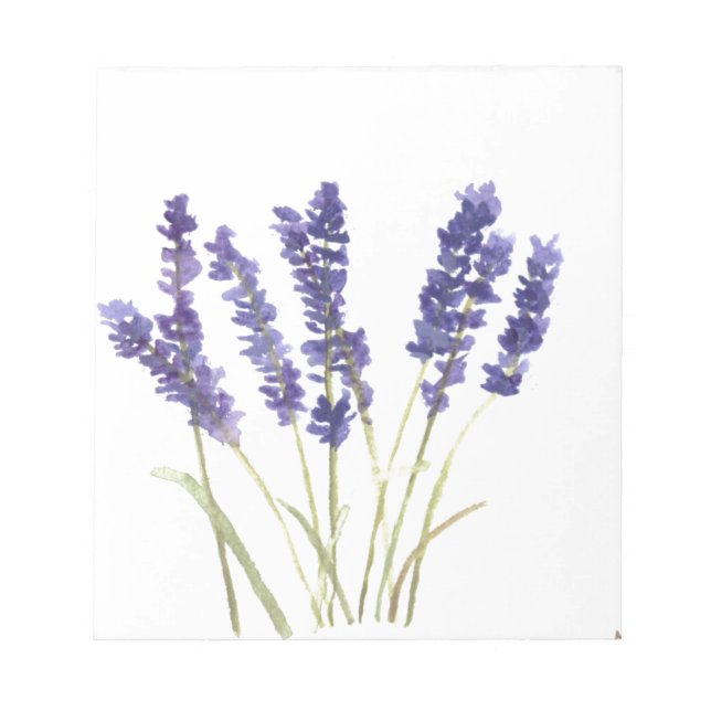Bloco De Notas Lavandas flores lavanda francesa (Frente)