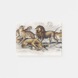 Bloco De Notas Leão Asiático, Leoa, Tigre de Bengala, Leopardo