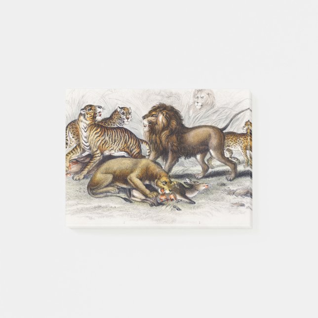 Bloco De Notas Leão Asiático, Leoa, Tigre de Bengala, Leopardo (Frente)