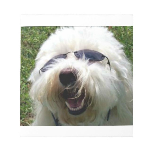 Bloco De Notas Legal Coton de Tulear (Frente)