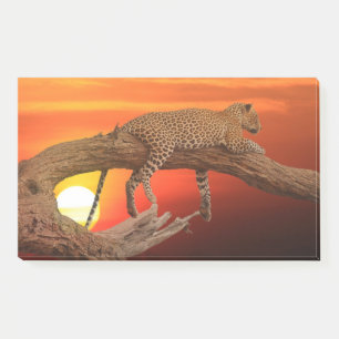 Bloco De Notas Leopardo em repouso