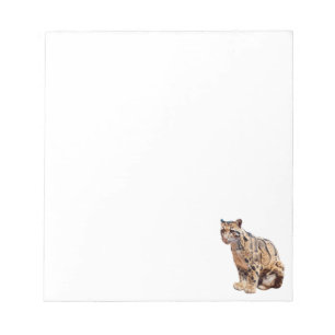Bloco De Notas leopardo nebuloso fotografia selva grande gato ani