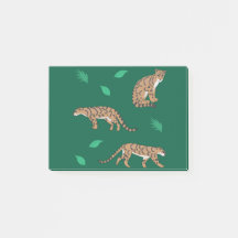 Leopardo-Nublado