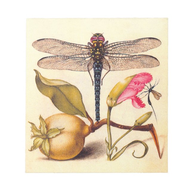 Bloco De Notas Libélula Arte Botânico da Natureza Hoefnagel (Frente)