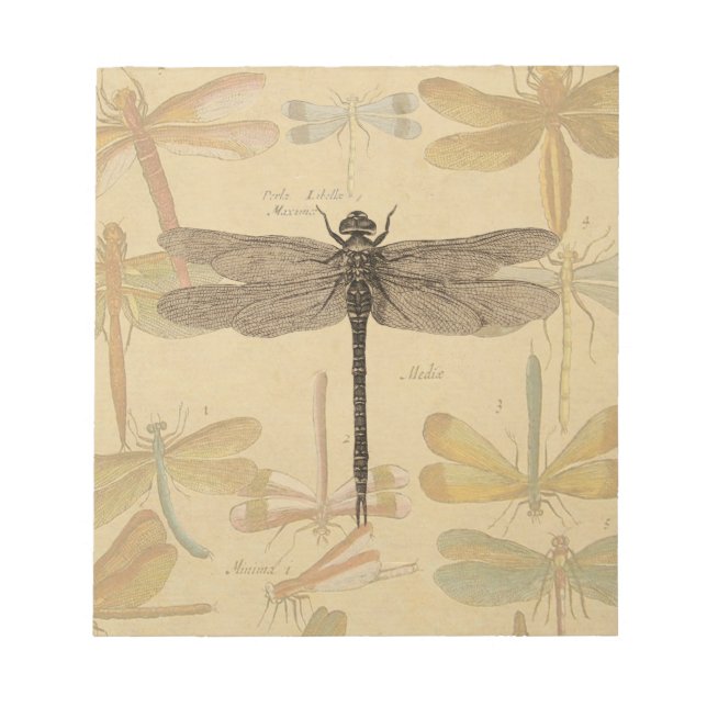 Bloco De Notas Libélula Vintage Antiga Clássica Natureza (Frente)