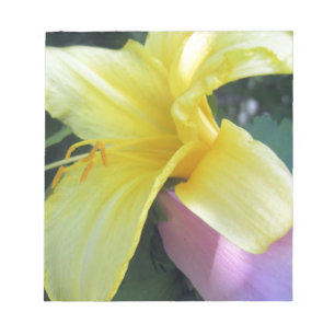 Bloco De Notas Lily Amarela